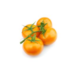 Pomodoro Giallo
