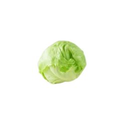 Iceberg
