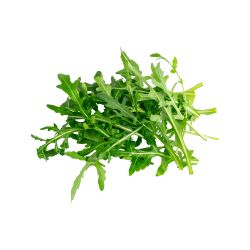 Rucola