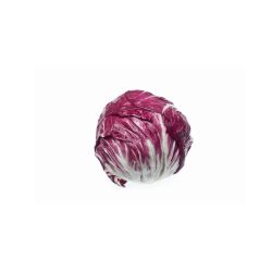 Radicchio