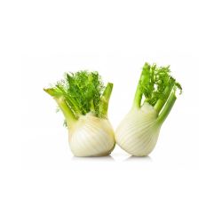 Finocchio