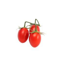 Datterino rosso siciliano